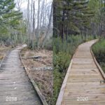cranberry glades boardwalk